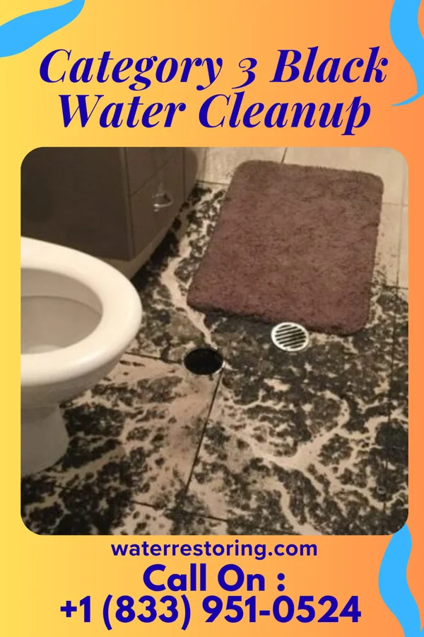 Category 3 Black Water Cleanup in Klahr, PA