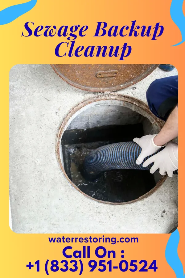 Sewage Backup Cleanup in Klahr, PA
