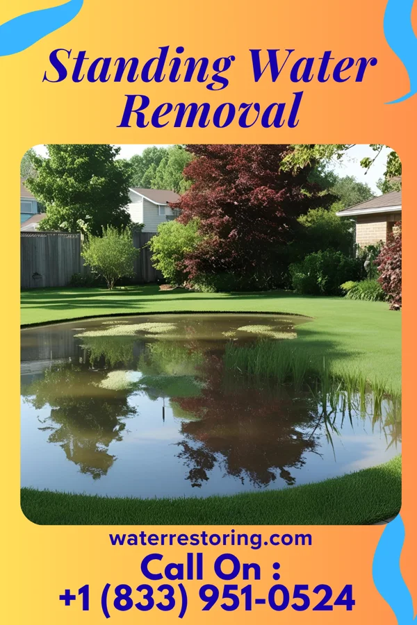 Standing Water Removal in Klahr, PA